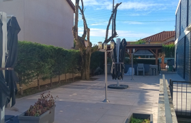Élagage d'Arbres